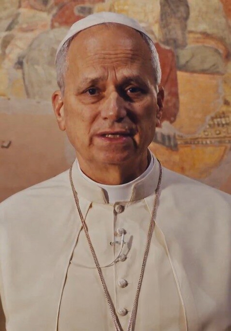 Vatican City: व्हाइट हाउस और वेटिकन में तनाव, ट्रंप की टिप्पणी पर बोले पोप-मेरा काम राजनीति करना नहीं