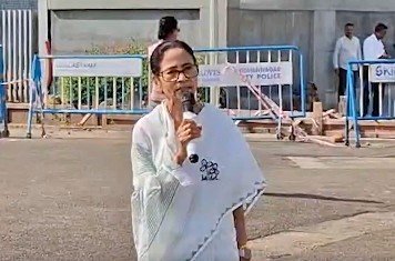 TMC's Position