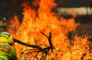 California Fire Crisis: ‘सैंडी फायर’ ने मचाई तबाही
