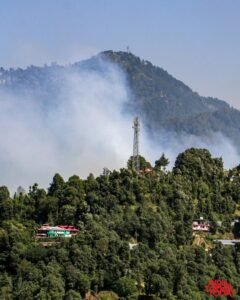 Forest Fire in Himachal: जंगलों की आग ने बढ़ाया खतरा