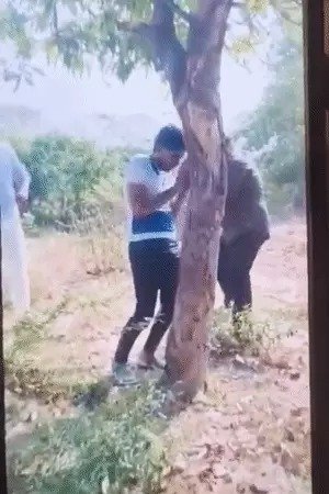 प्रतापगढ़ में युवक की पिटाई का वीडियो