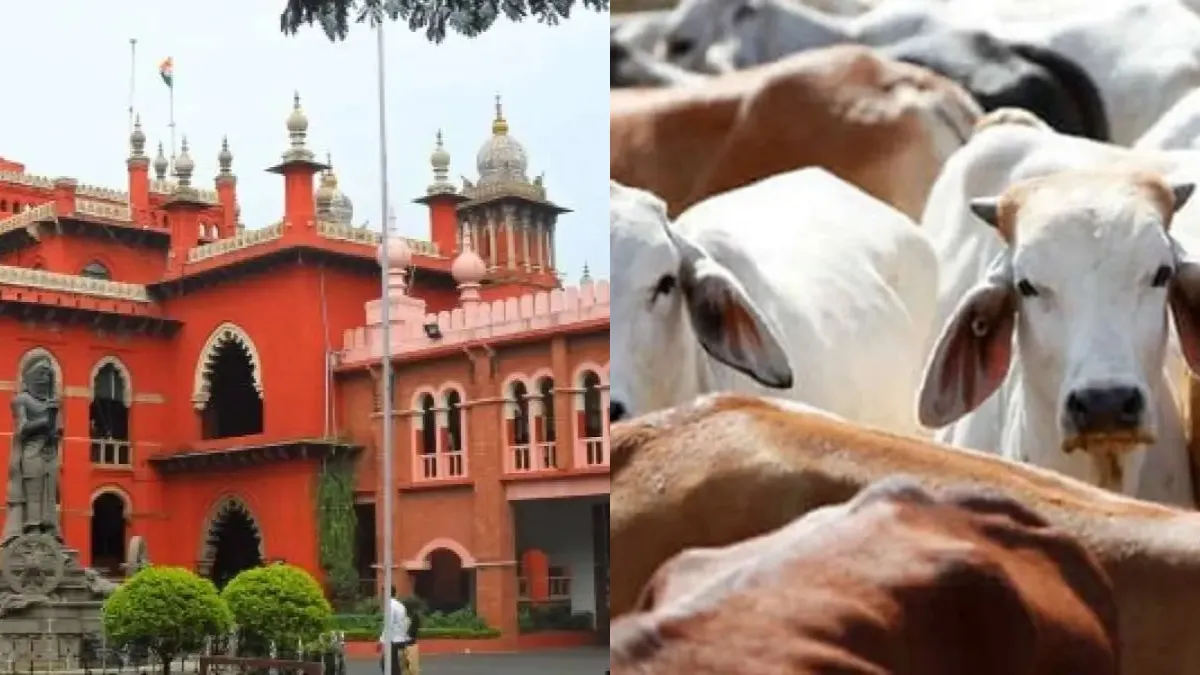 हाई कोर्ट ने जारी किए निर्देश
