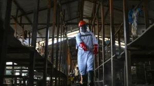 Ebola Virus Alert: इबोला को लेकर केंद्र सतर्क, नड्डा ने अधिकारियों संग की बैठक