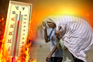 Heatwave Alert:  भीषण गर्मी और नौतपा का असर