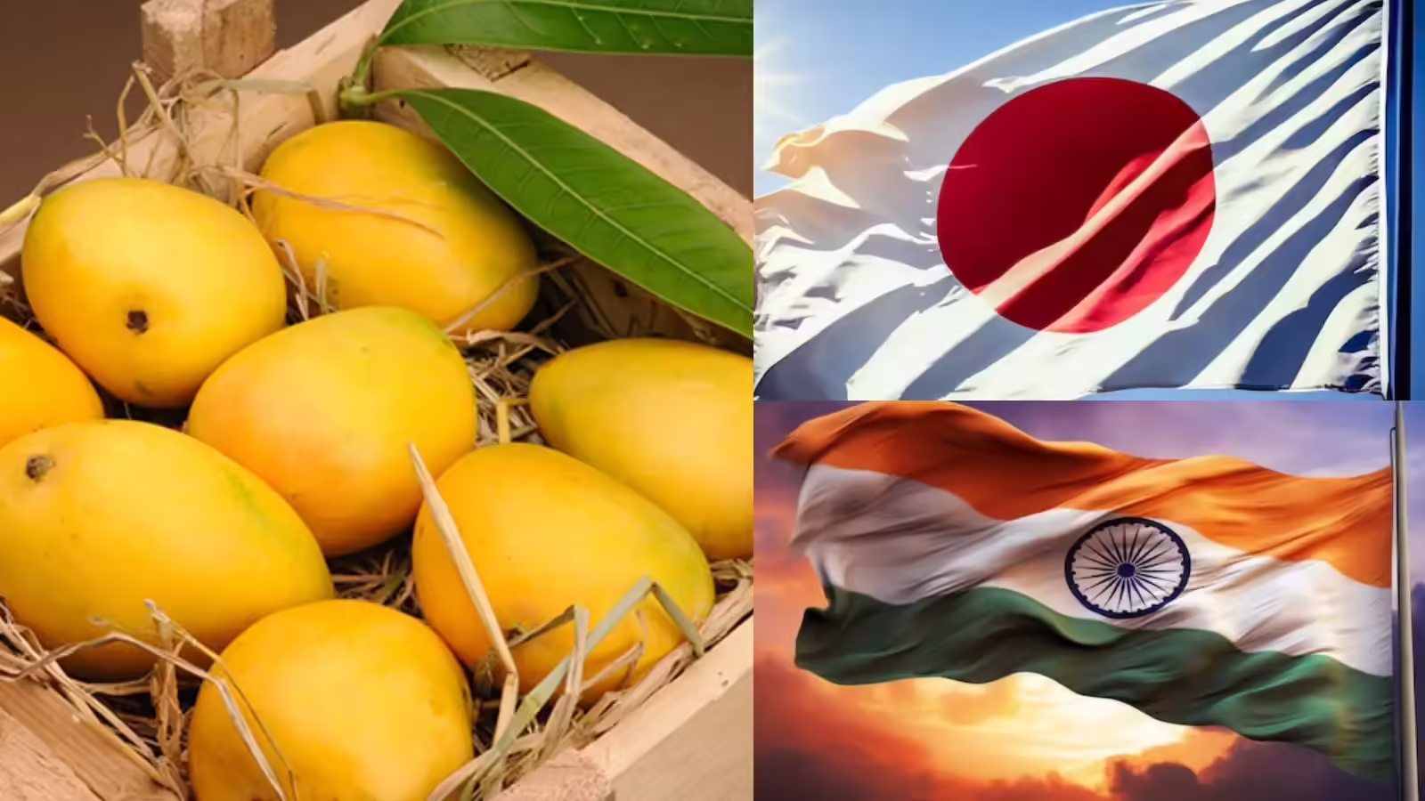 Japan Mango Ban: