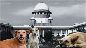 Stray Dog Case Judgement