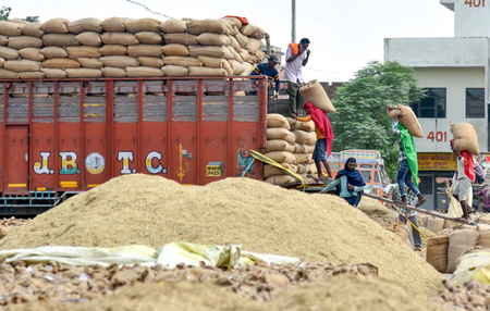 New Delhi: केंद्र ने 25,530 करोड़ की 'सार्थक' पीडीएस योजना को दी मंजूरी, 80 करोड़ लोगों को मिलेगा फायदा