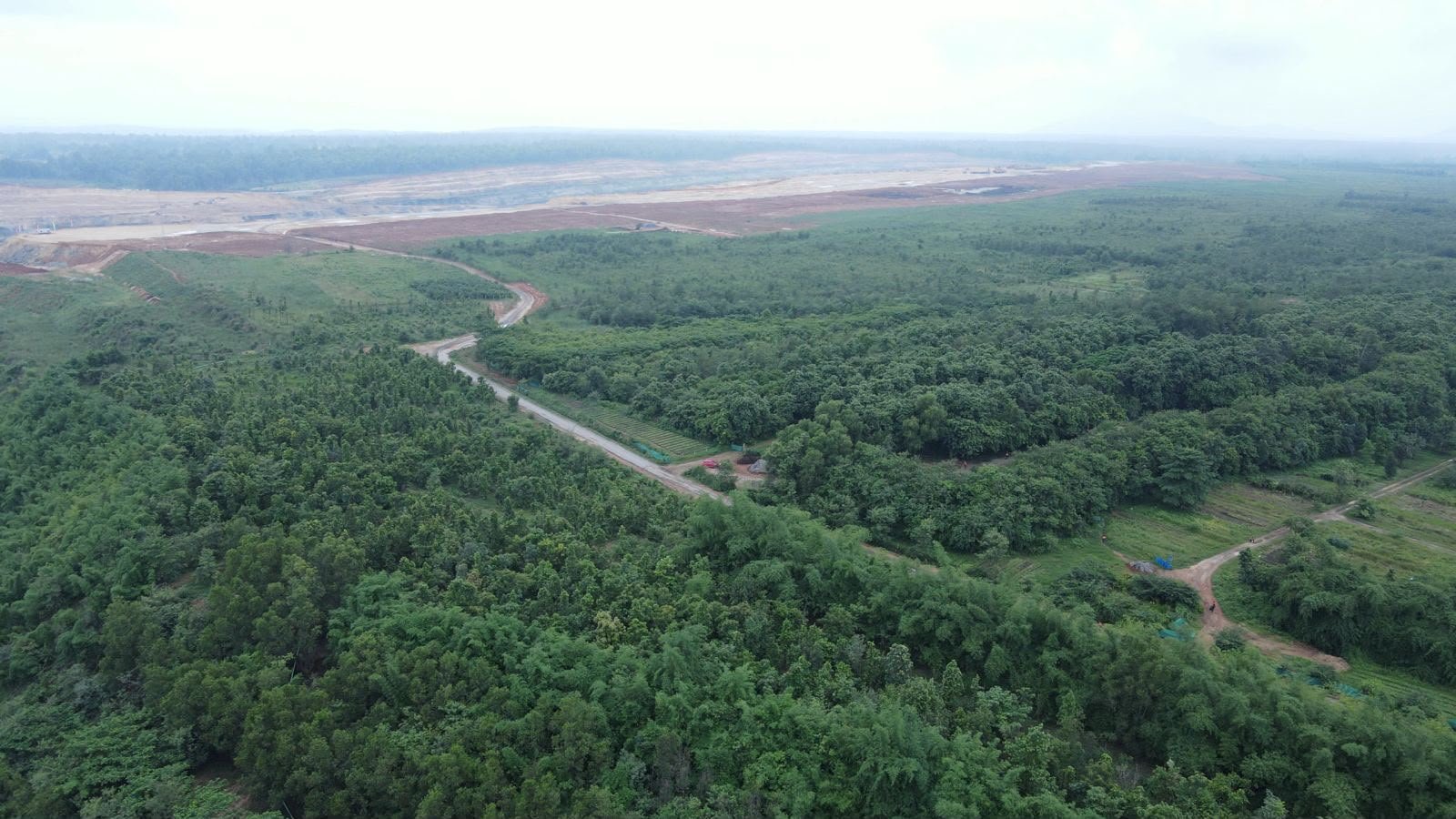 Adani Green Initiative: अदाणी समूह ने लगाए 16 लाख पौधे