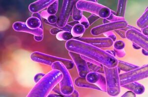 Shigella Infection Kerala: केरल में शिगेला का बढ़ता कहर