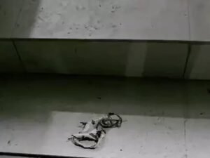 बिजनौर थाने में महिला रेसलर ने लगाई आग