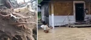 Monsoon Update: यूपी-बिहार में बिजली का कहर, 13 की मौत