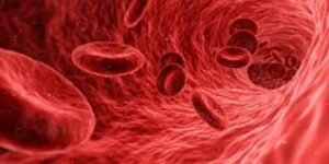 TB Deaths: इंग्लैंड में टीबी से मौतों का बड़ा खुलासा