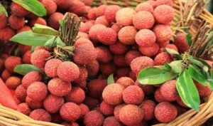 Lychee For Health: लीची फल के फायदे और नुकसान: किन्हें बचना चाहिए