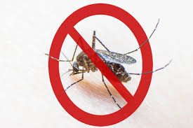 World Dengue Day: विश्व डेंगू दिवस 2026