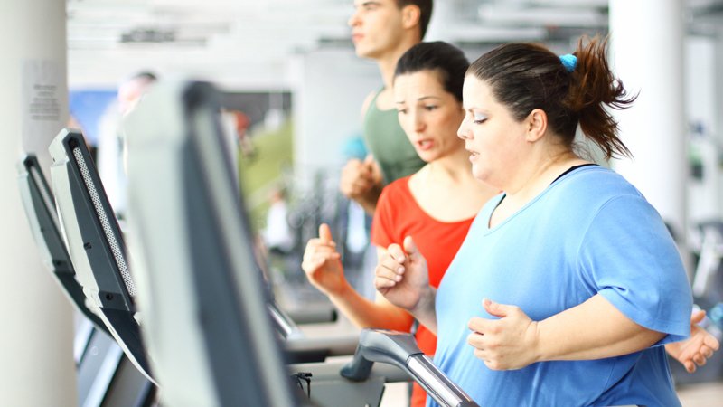  Why Diets Fail: