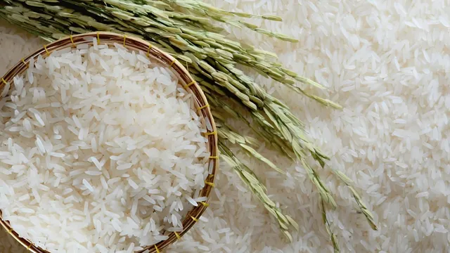 Pakistan Basmati Export: