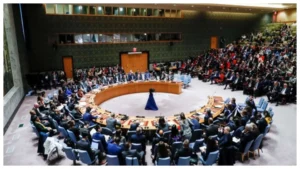 UNSC Meet: UNSC में पाकिस्तान की टिप्पणी पर भारत सख्त