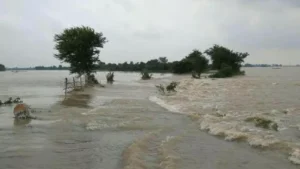 यूपी में मानसून फिर सक्रिय, 75 जिलों में अलर्ट