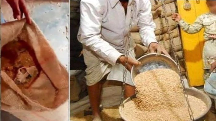 MP Ration kankal News: