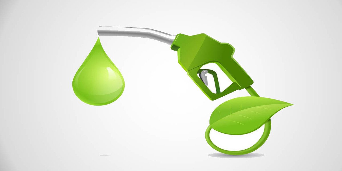 E20 FUEL: ई 20 पेट्रोल से विदेशी मुद्रा की बड़ी बचत - सरकार