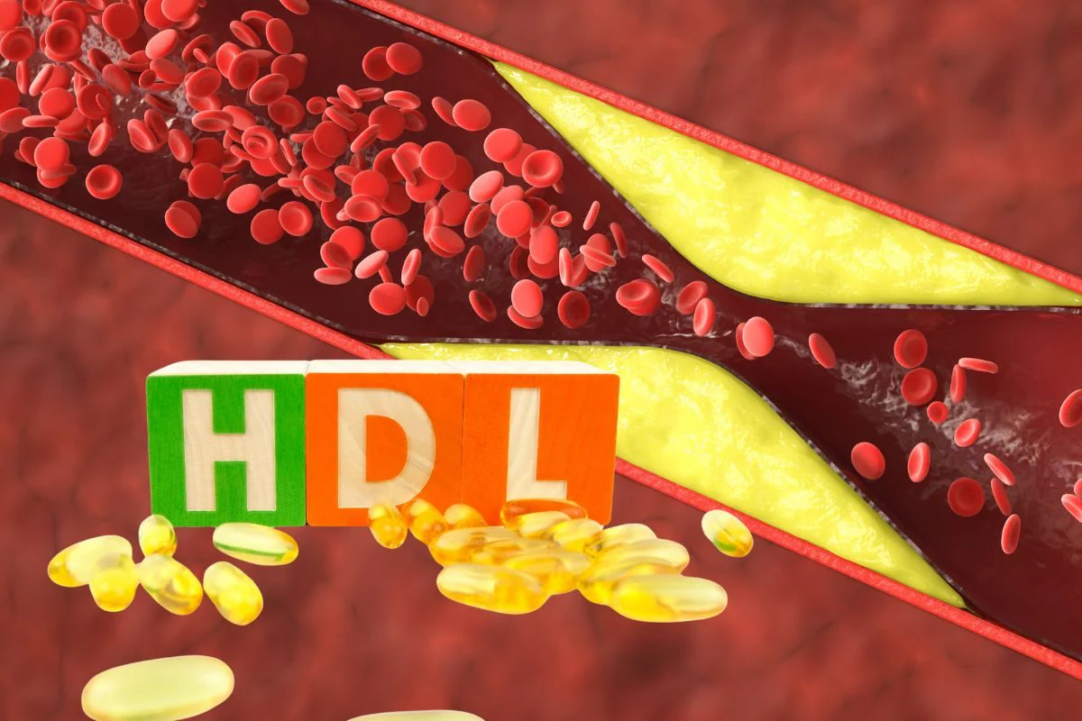 हार्ट के लिए कितना होना चाहिए HDL?