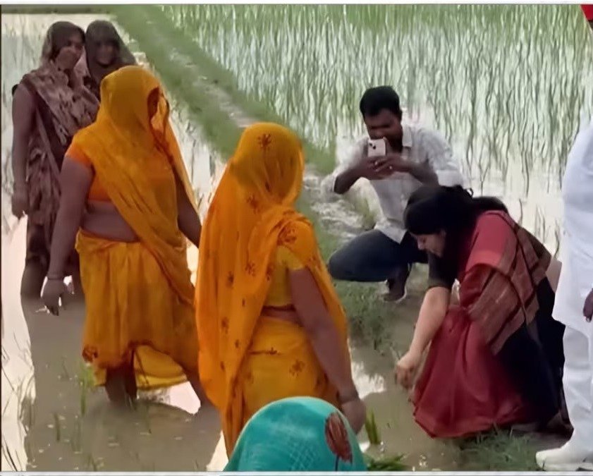 Priya Saroj Viral Video