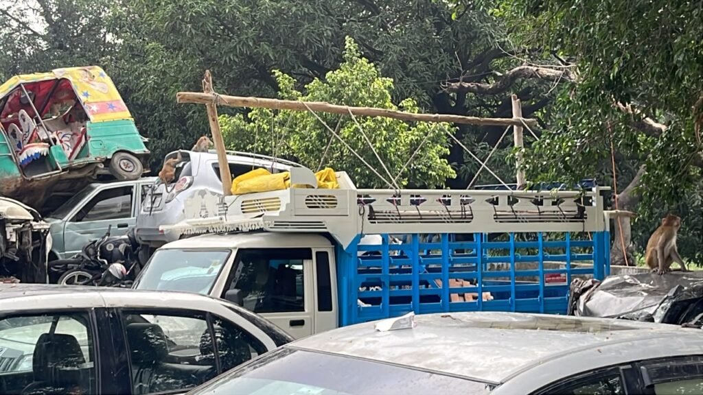 हरिद्वार जा रही पिकअप, 3 की मौत