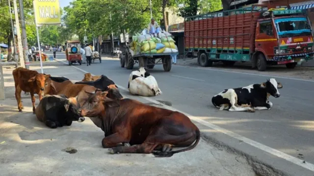 MP State Highway: