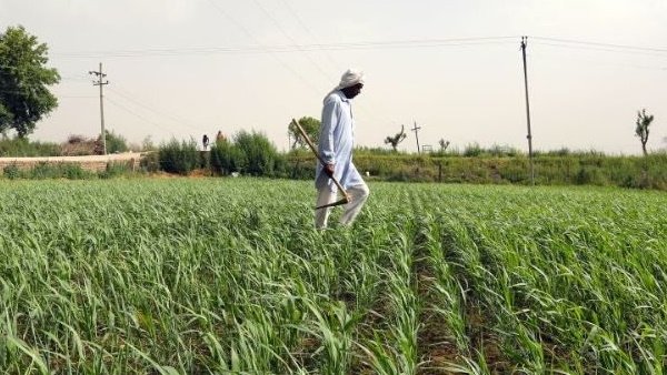 Up Farmers: यूपी: किसानों और गरीबों को बिजली पर भारी सब्सिडी