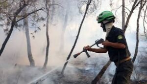 Algeria Wildfire: अल्जीरिया में जंगल की आग से 12 की मौत
