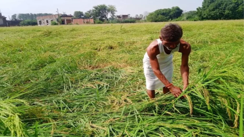 UP RAIN: बारिश से नुकसान, योगी का 24 घंटे का अल्टीमेटम