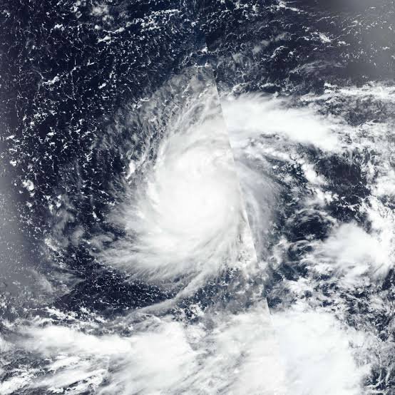 Typhoon Dolphin: