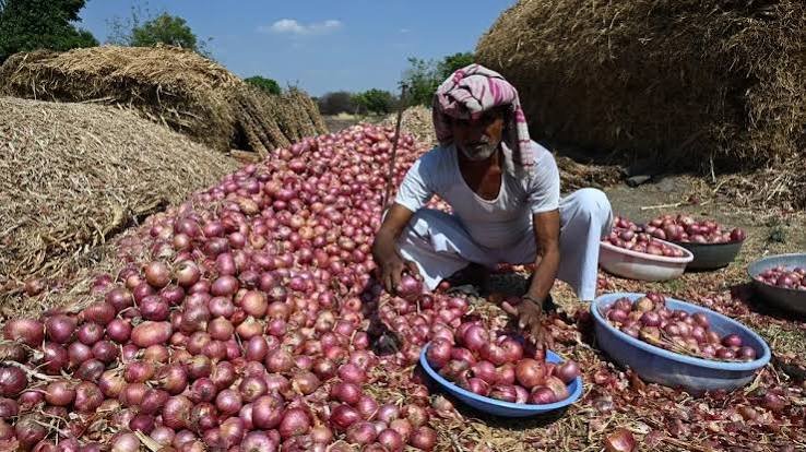 Onion Crisis: जानें प्याज उत्पादन में भारत की वैश्विक स्थिति