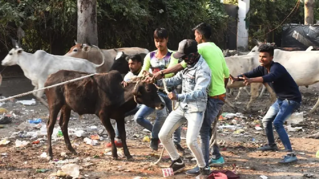 UP News: लखनऊ में दरोगा पर लोहे की चेन से हमला, 24 पर केस, 200 भैंसें पकड़ी गईं; मेयर बोलीं- पूरा इलाका साफ करेंगे