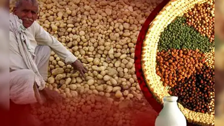 WPI Inflation August 2026: