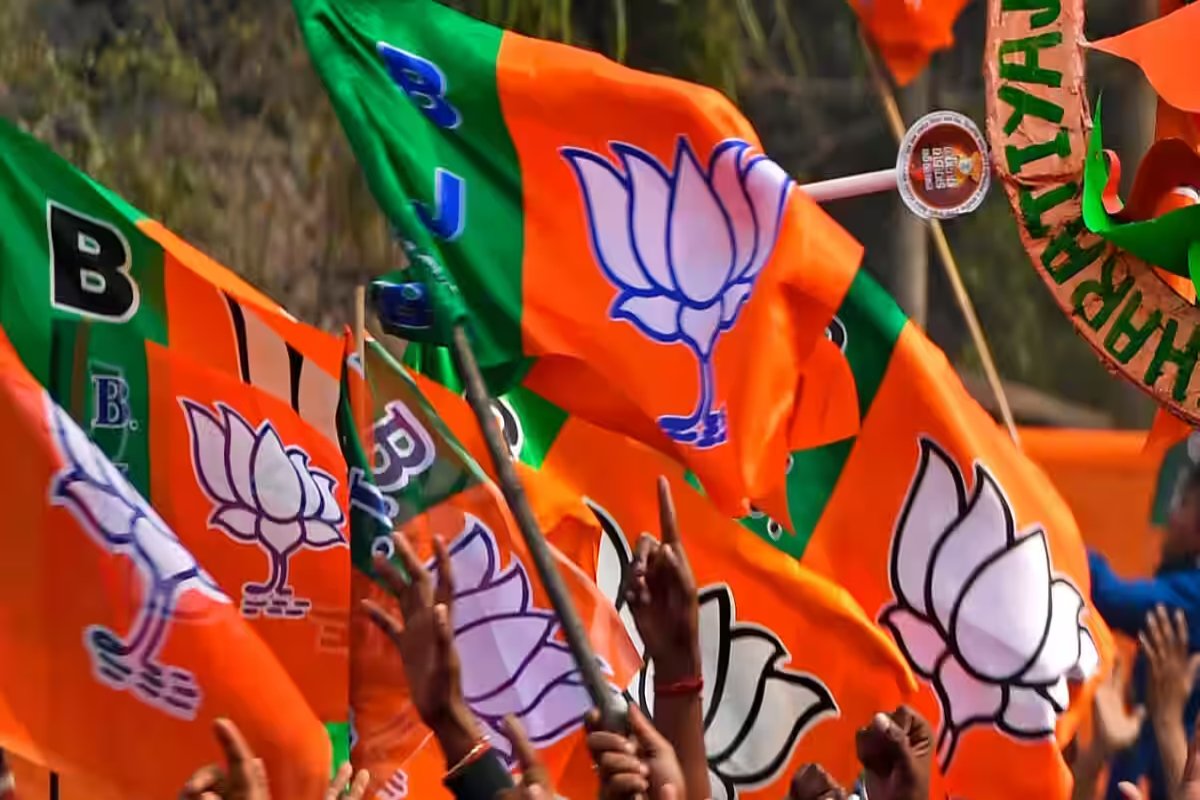 BJP Flags