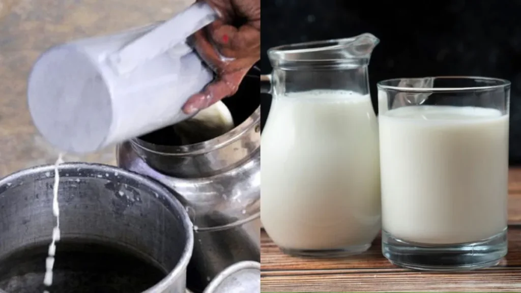 MILK TESTING: घर बैठे करो दूध की जांच, इस यूनिवर्सिटी ने बनाया जुगाड़