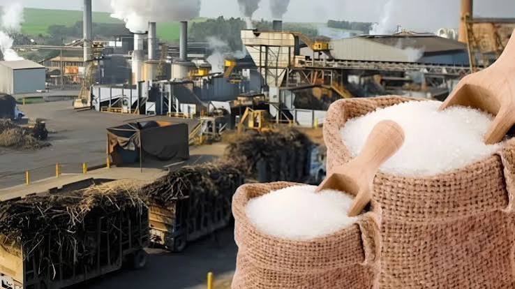 Sugar Prices Fall 10%: