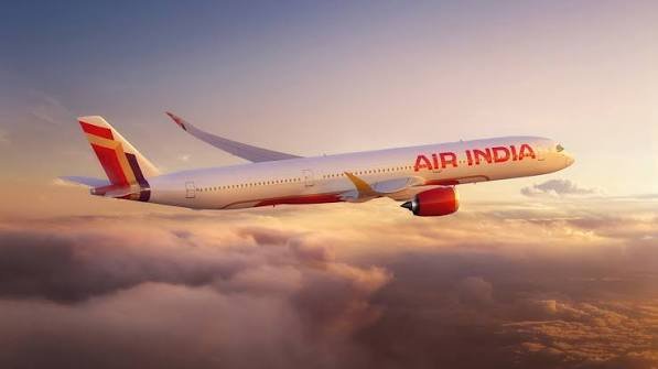 Air India Pilot Sacked: