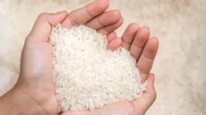 Rice Production: भारत में चावल संकट की बढ़ी चिंता