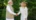PM Modi: