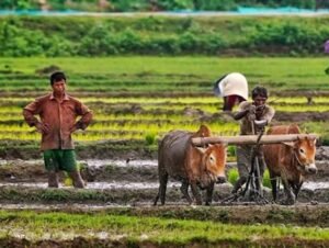 PM Dhan Dhaanya Yojana: पीएम धन-धान्य योजना
