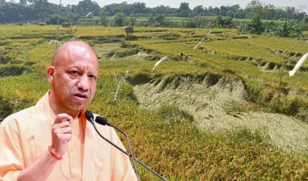 Up Farmer Relief