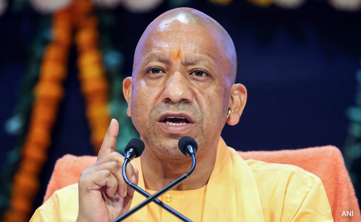 Yogi Government
