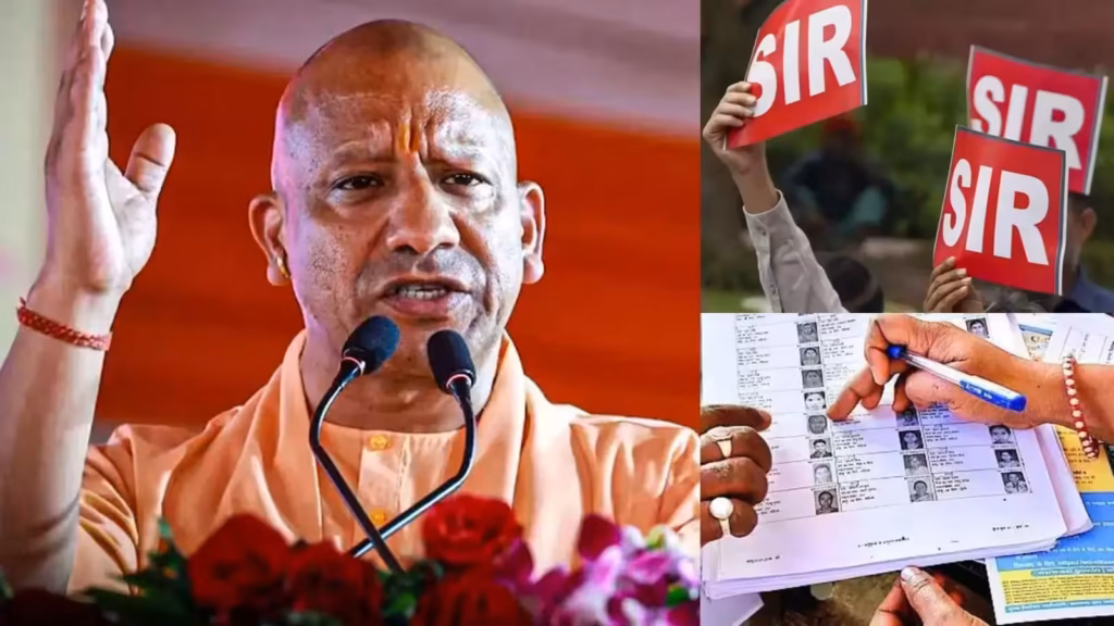 Yogi's statement